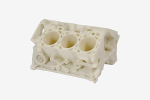 ltcs exquisite 3d printed part